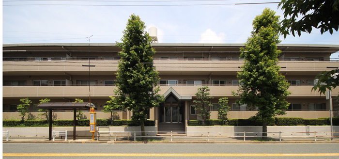 写真1